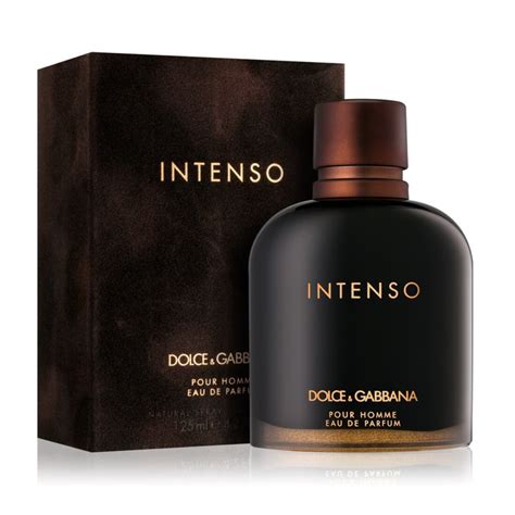 intenso dolce gabbana pareri|Dolce & Gabbana intense for men.